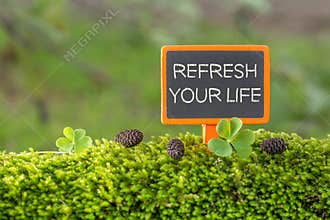 Refresh your life text on small blackboard