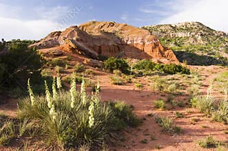 Palo Duro Canyon