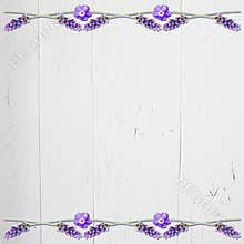 Lavender Floral Scrapbook Background with White Wood