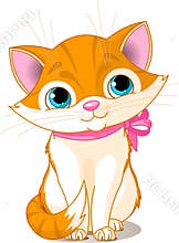 Very Cute cat