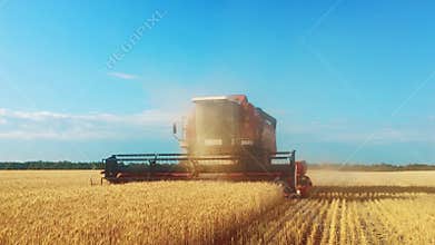 Combine harvester gathers the wheat crop. Wheat harvesting shears. Combines in the field Food industry concept.