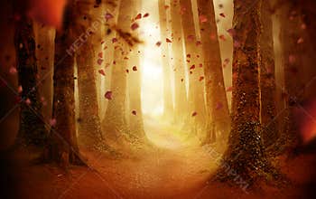 Pathway Through An Autumn Forest