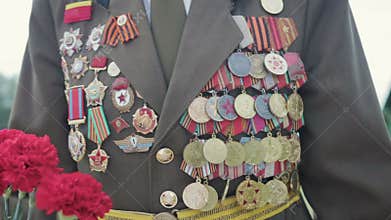 Veteran of the great Patriotic war and world war II in uniform with many badges and orders comes with red flowers. Close