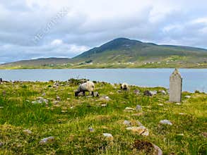 Cemetery Graveyard over looking Achill Sound