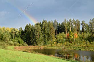 The rainbow over forest at countryside.