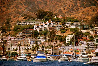 Catalina