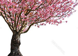 Glorious spring
