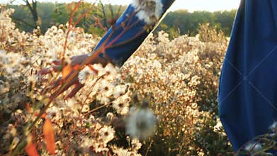 Girl running at the autumn field through fluff flowers