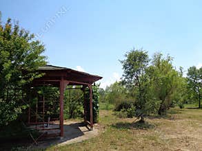 Generic Vegetation - Eutopia Garden - Arad, Romania