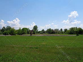 Generic Vegetation - Eutopia Garden - Arad, Romania