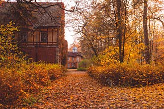 Manor house with trees in autumn colors and fall trees. Old Victorian Haunted House with ghosts. Abandoned house in autumn wood