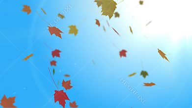 Autumn Leaves Falling on Beautiful Fall Day