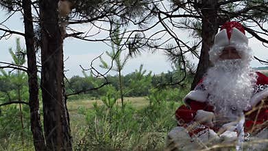 Father Frost blindly.