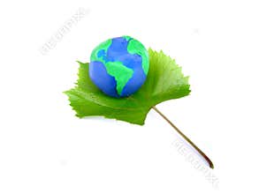 Earth and Vine, the symbol of Life