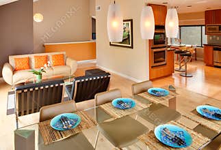 Modern Contemporary Residential Interior