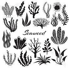 Aquarium seaweeds. Underwater plants, ocean planting. Vector seaweed black silhouette isolated set