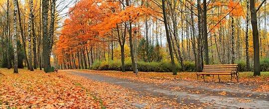 Autumn in the park