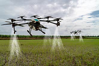 Iot smart agriculture industry 4.0 concept, drone in precision farm use for spray a water, fertilizer or chemical to the field,