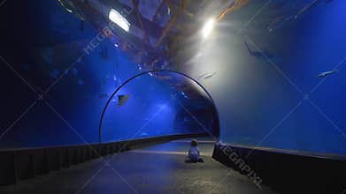 Curious little boy crawls in aquarium tunnel and looks at underwater world