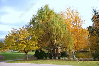 Humber Park, Toronto