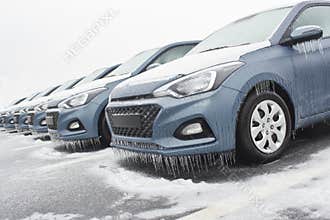 cold season auto