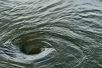 Water vortex