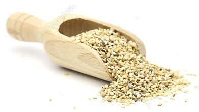 Dried organic sesame seeds in wooden scoop on white background