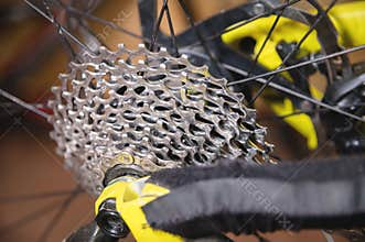 Close-up View of the bike in repair. Gear cassette close-up. Crafting service for mountain bikes. Repair guide for your
