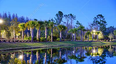 A typical Florida house