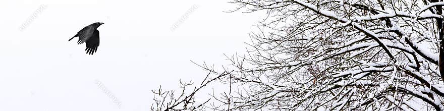 Horizontal banner of a cold and snowy winter