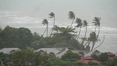 Pabuk typhoon, ocean sea shore, Thailand. Natural disaster, eyewall hurricane. Strong extreme cyclone wind sways palm