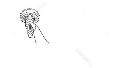 Statue of Liberty hand drawn