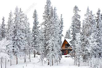 Christmas cottage in winter wonderland