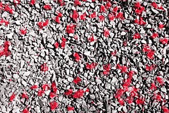 Red fall pollen scattered on the gravel and stone blocks. Selective focus