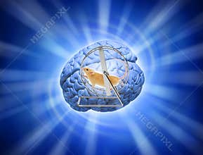Brain Exercises Mouse Stress