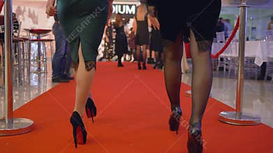 Celebrated event, gorgeous rich women in elegant dresses in high heels walk red carpet at expensive holiday