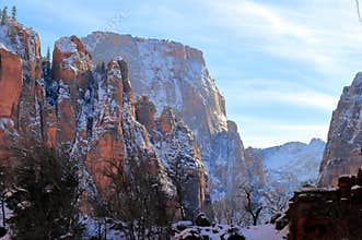 Winter snow in Zion National Park