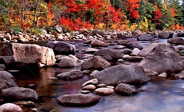New England Fall Foliage