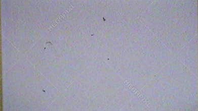 Vintage Old Damaged VHS Film Frame Loop
