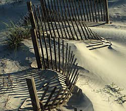 The shadow thrown by a fence on the beach
