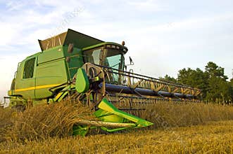 Modern combine harvester at work