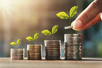 hand holding coins to stack and growth plant step. concept saving money finance