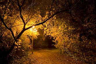 Lonely dark dangerous park path