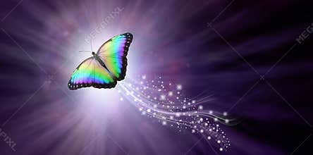Multicoloured Butterfly taking flight into the Light