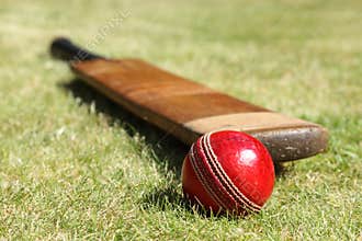 Cricket bat and ball