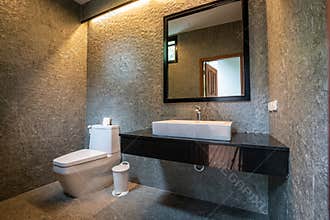 Luxury bathroom features basin, toilet bowl