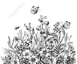 Hand Drawn Wild Flowers, Bees  and Butterfly