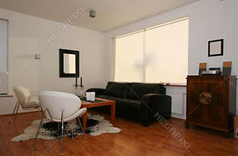 Trendy living room