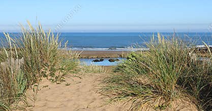 Sandy path to the beach