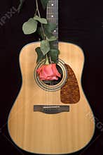 Guitar and rose